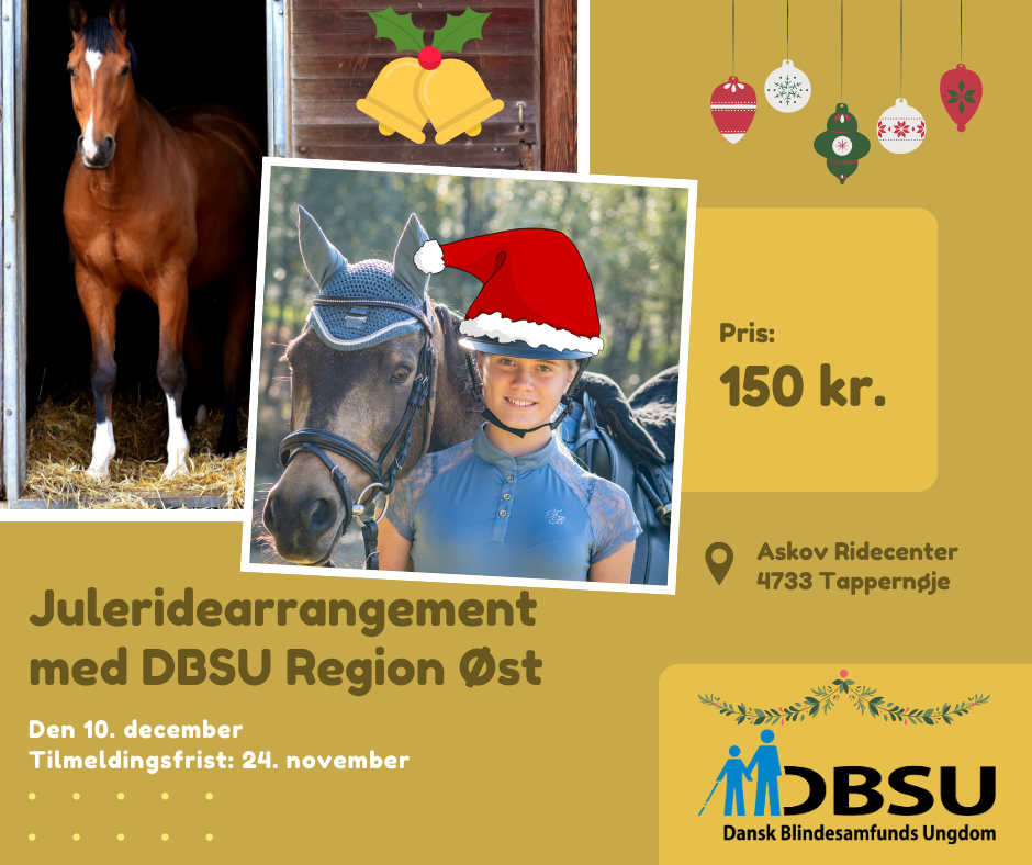 Grav Streng rækkevidde DBSU Region Øst: Juleridearrangement - Dansk Blindesamfunds Ungdom